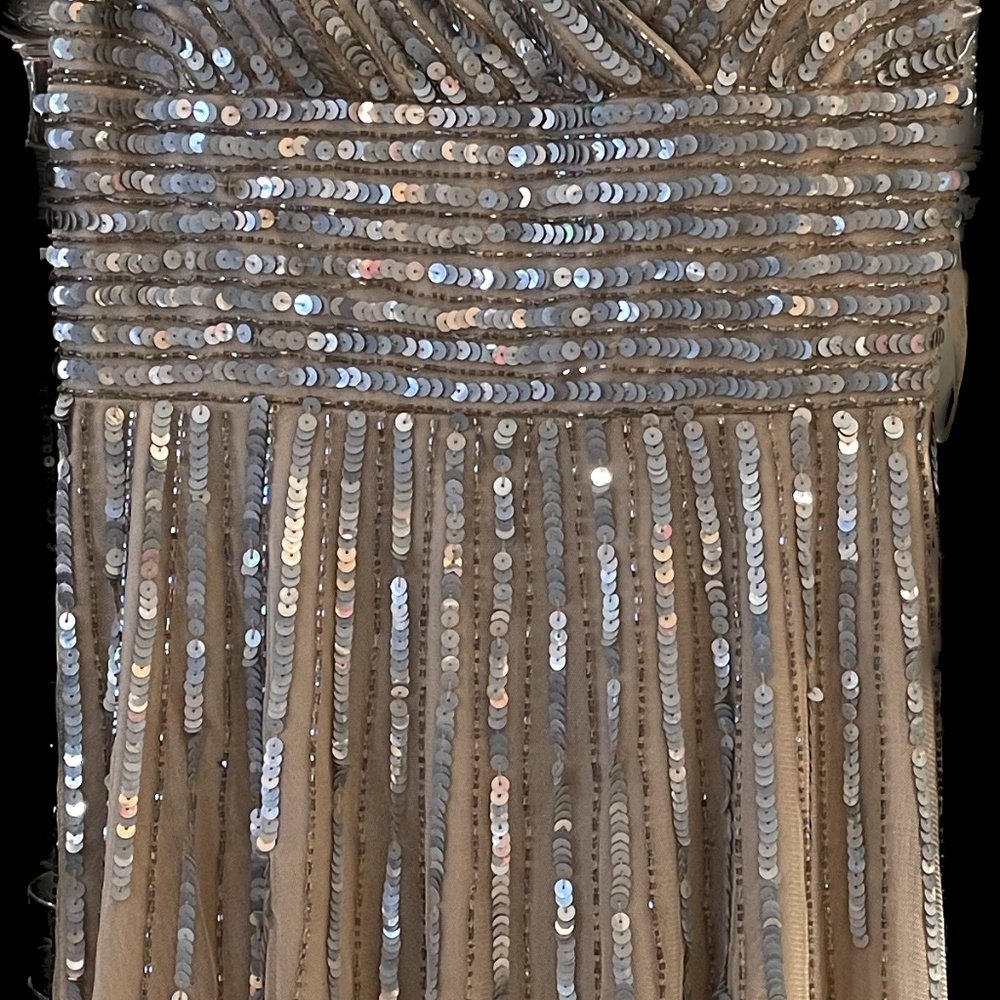 Beautiful sequin dress